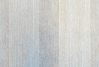 aplix softfit