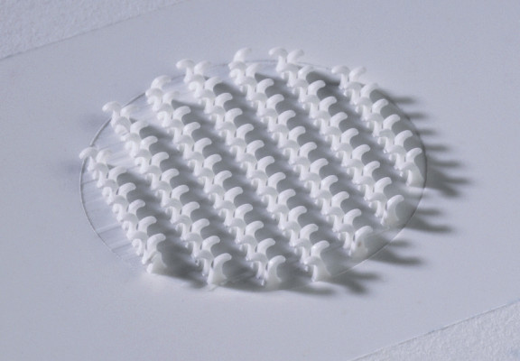 intermold