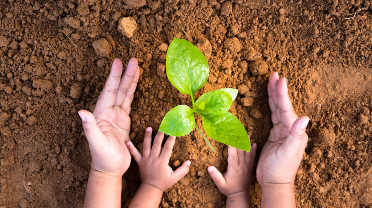 csr approach